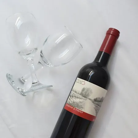 S-apartmani Cocetova Apartment